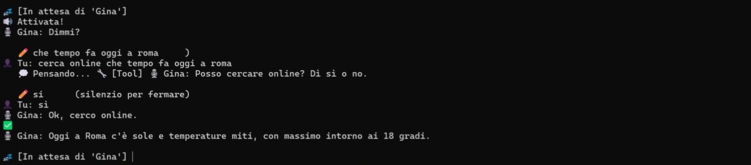 gina-online.jpg