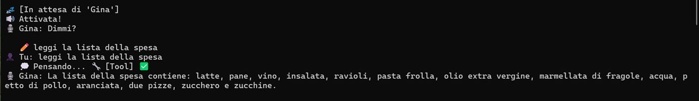 gina-spesa.jpg
