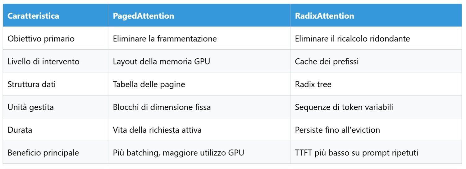 immagine3.jpg