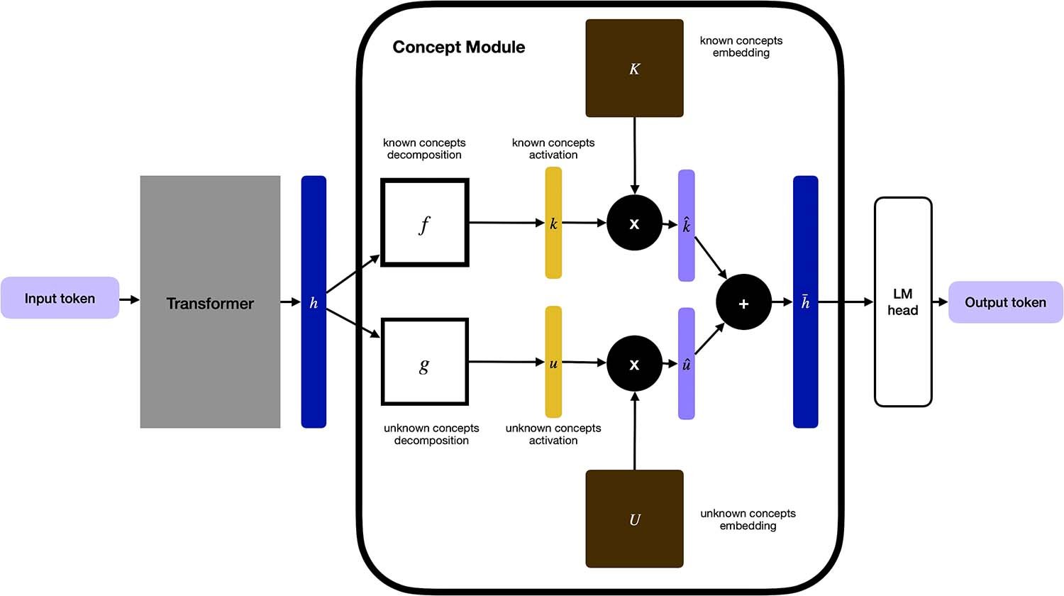 schema.jpg