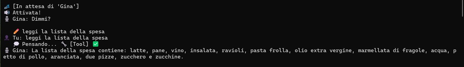gina-spesa.jpg